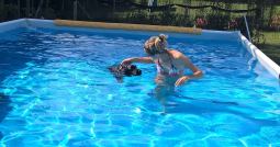 Forwardingdogs Desmond (Paul) in piscina